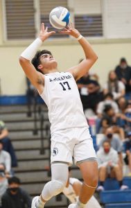 Spencer to continue volleyball career at LIU